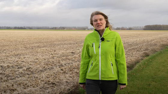 BOS lelieteelt CLM