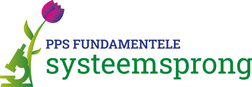 Logo PPS Fundamentele systeemsprong