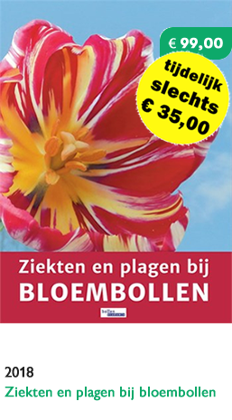 Ziekten en plagen bij bloembollen