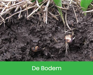 De Bodem