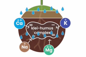 Wat is het Klei-Humus complex