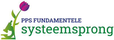 Logo PPS Fundamentele systeemsprong