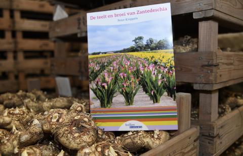 Boek Zantedeschia